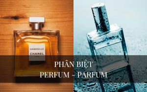 Phân loại Perfum và Parfum