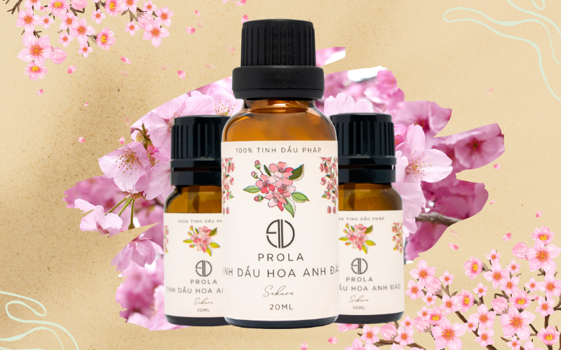 Tinh dầu sakura - nốt hương ngọt ngào của cuộc sống
